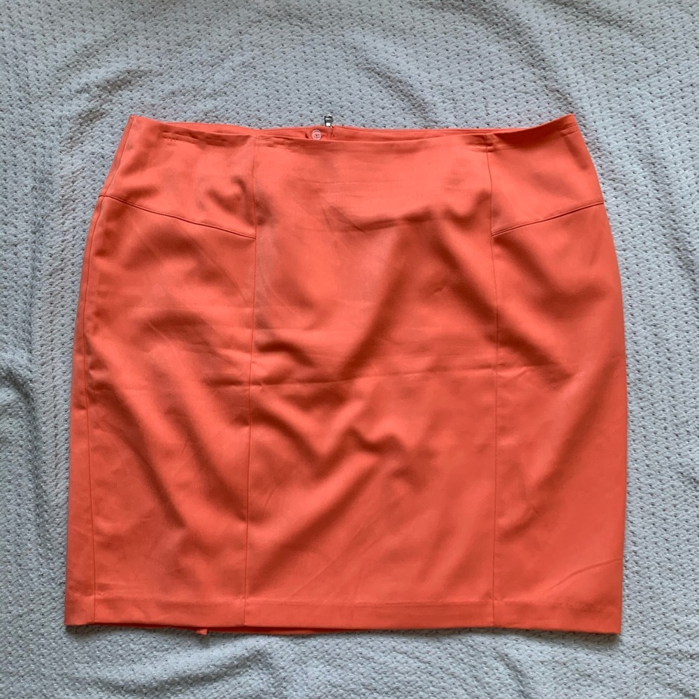 Lane Bryant skirt